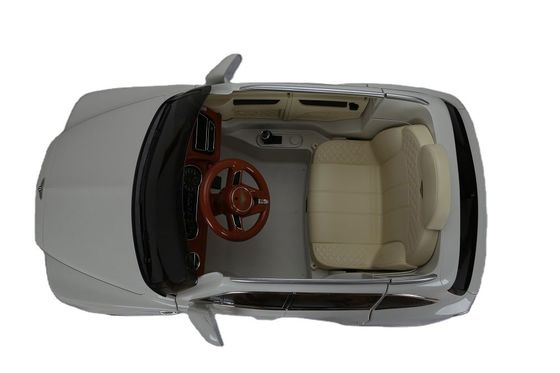 Conduite électrique en plastique 6v ou 12v sur voiture avec télécommande d'un autorisé